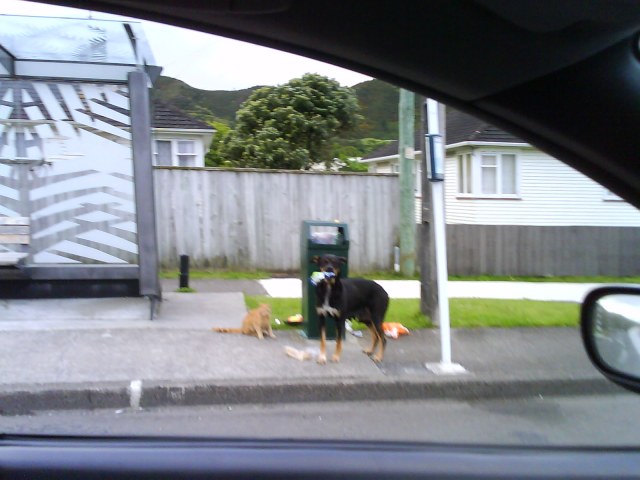 Master Criminals at work 2