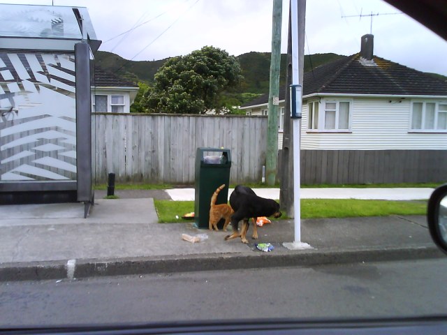 Master Criminals at work